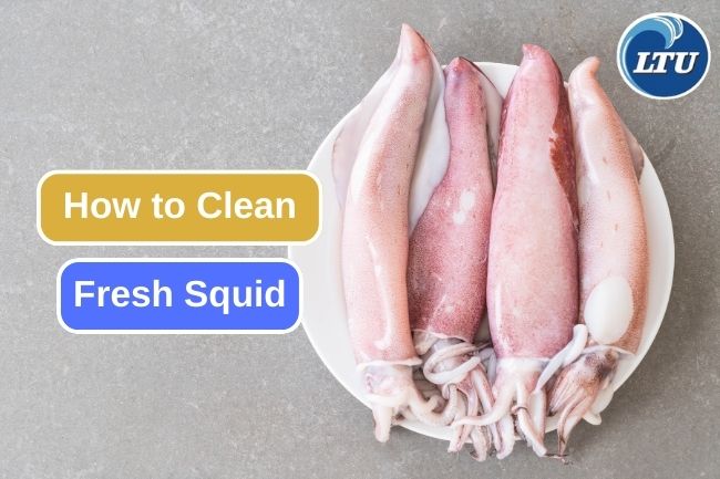 Cleaning and Preparing Fresh Squid Like a Pro